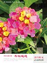 專案_花博_2010流行館視覺_18