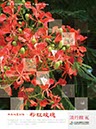 專案_花博_2010流行館視覺_17